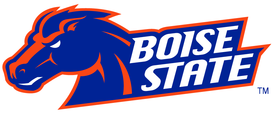 Boise State Broncos 2002-2012 Secondary Logo v21 DIY iron on transfer (heat transfer)